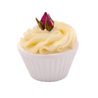 Specialista nella vendita ai professionisti di Boîte découverte de fondant de bain Versione 1