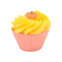 Specialista nella vendita ai professionisti di Boîte découverte de fondant de bain Versione 3